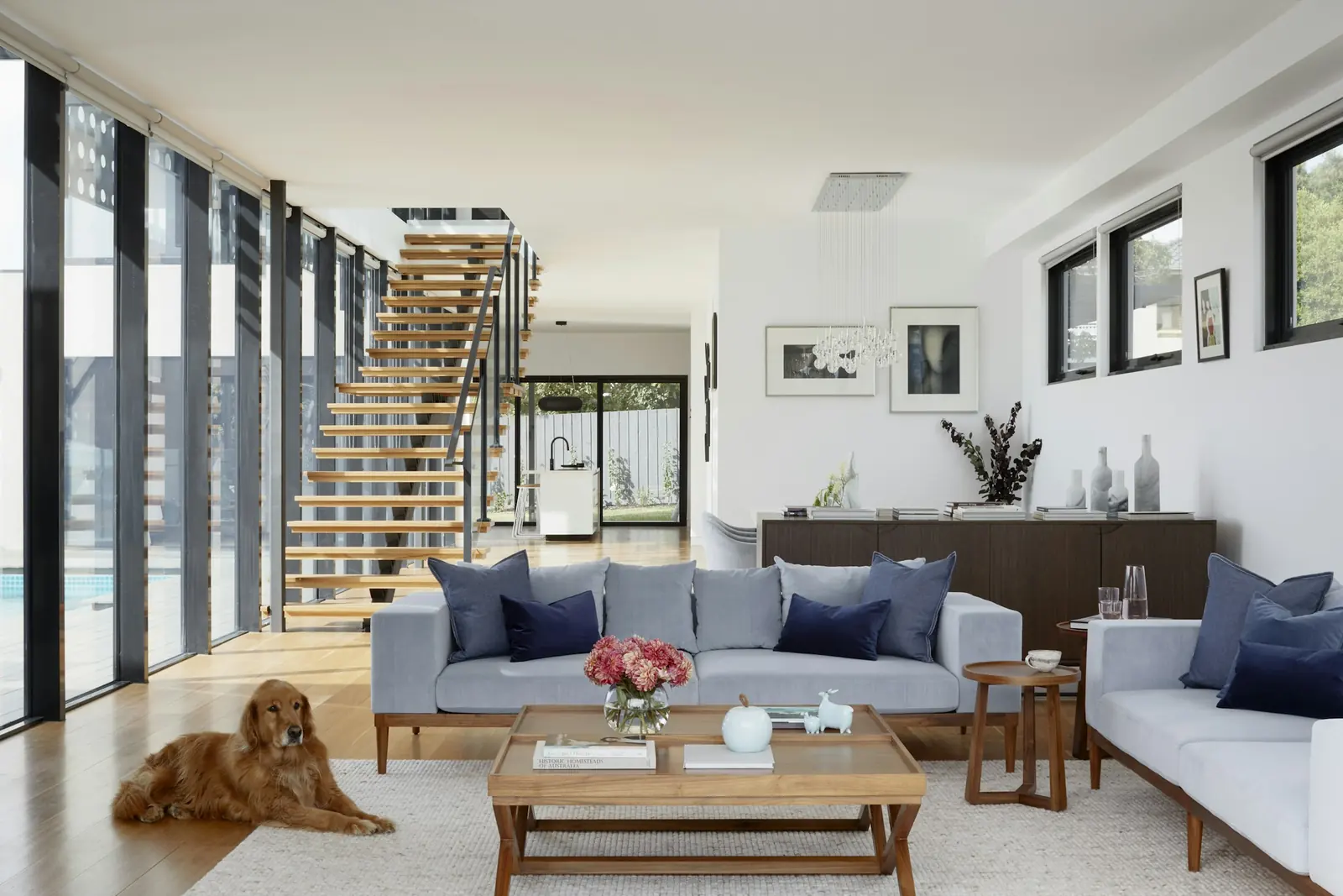 A happy dog relaxing in a freshly cleaned living room